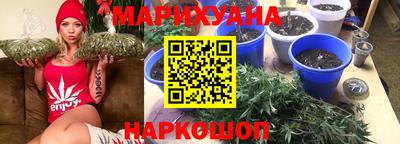 ешки Бердск