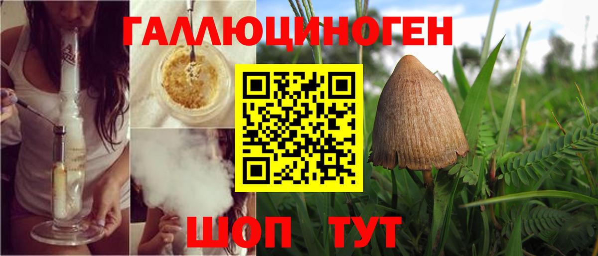 Галлюциногенные грибы прущие грибы Азнакаево
