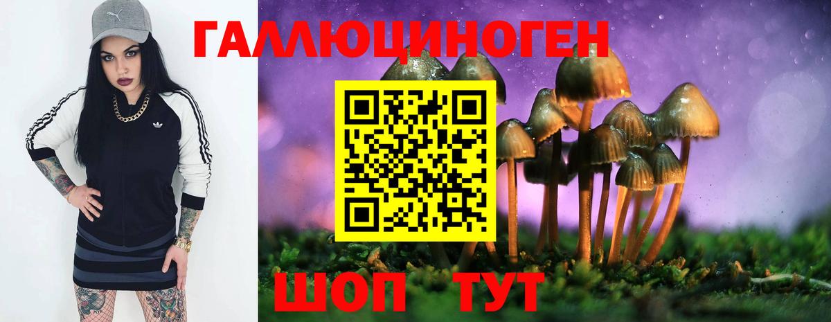 Азнакаево  Псилоцибиновые грибы MAGIC MUSHROOMS  Вход с VPN 